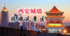 美女被我艹中国陕西-西安城墙旅游风景区